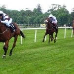 Horse Racing - Racing in County Sligo photo by John Picken 